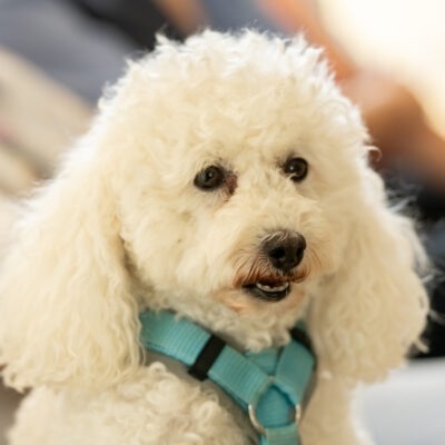 Resdenz Ambiente Bad Hersfeld-068